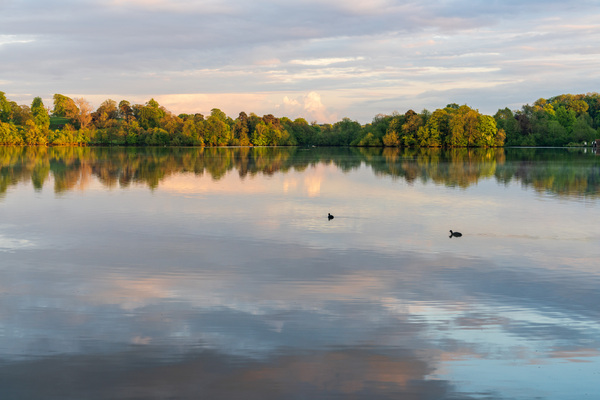 View across the Ellesmere Mere to a clear reflection of distant  by Steve Heap