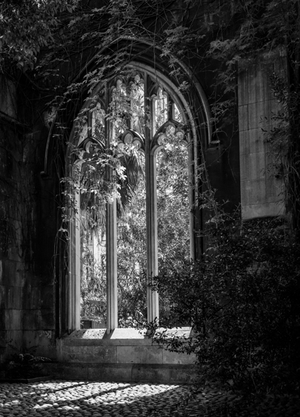 Creeping plants over the empty windows of St Dunstan church by Steve Heap