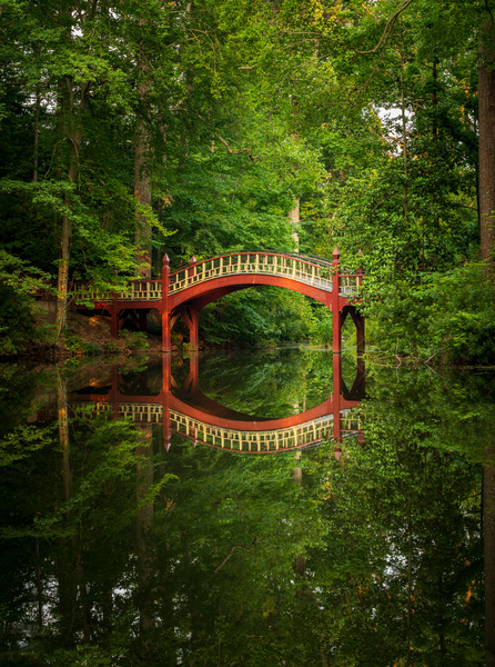 Crim Dell bridge at William and Mary college by Steve Heap
