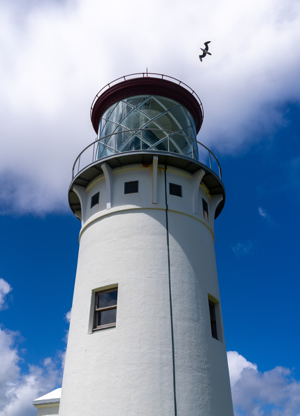 Detail of Kilauae lighthouse against blue sky on Kauai by Steve Heap