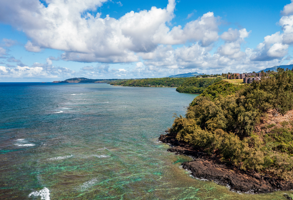 Aerial view of Princeville coastline on Kauai by Steve Heap