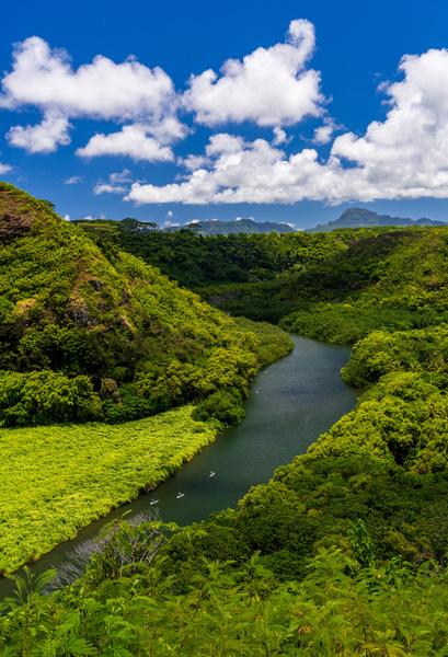 Wailua River bends around a meadow on Kauai by Steve Heap