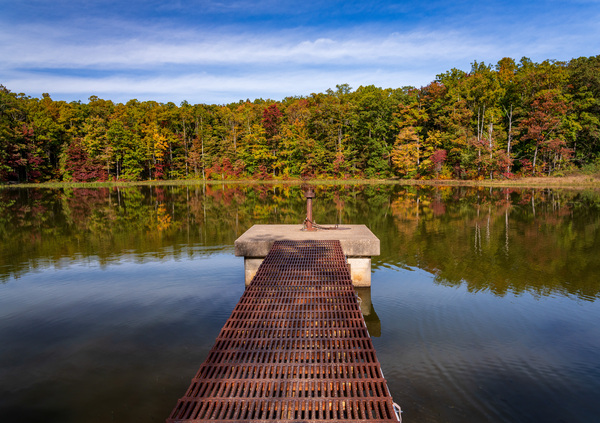 Fall leaves and metal pier in Coopers Rock State Forest in WV by Steve Heap