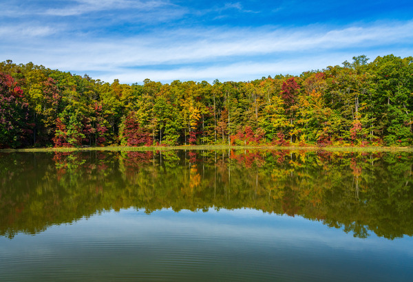 Fall leaves surround reservoir in Coopers Rock State Forest in W by Steve Heap