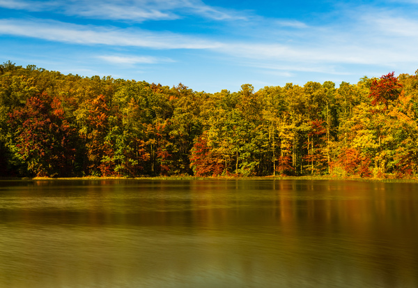 Fall leaves surround reservoir in Coopers Rock State Forest in W by Steve Heap