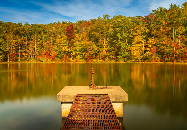Fall leaves and metal pier in Coopers Rock State Forest in WV by Steve Heap