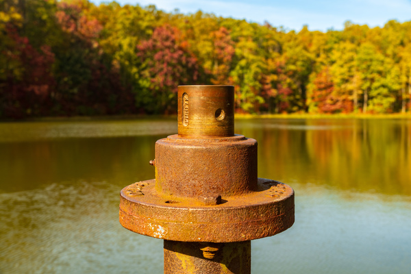 Detail of rusty metal pipe with fall leaves in Coopers Rock in W by Steve Heap