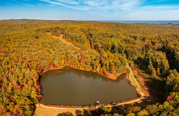 Aerial fall leaves around Coopers Rock reservoir in WV by Steve Heap