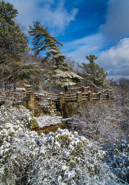 Coopers Rock overlook covered in winter snow near Morgantown by Steve Heap