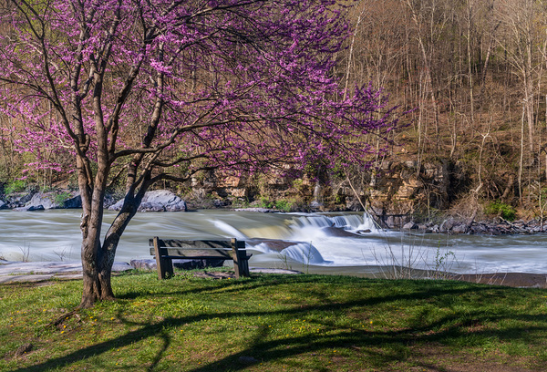 Wooden bench view of Valley Falls on spring morning by Steve Heap
