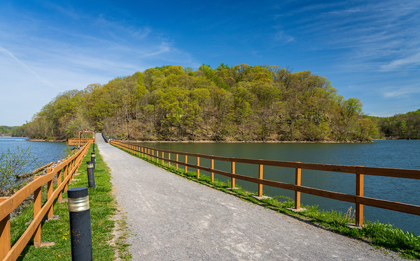 Pathway to spring leaves in Cheat Lake Morgantown WV by Steve Heap