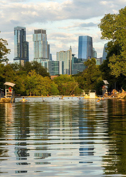 View of the Austin skyline at sunset over Barton Springs swimmin Print