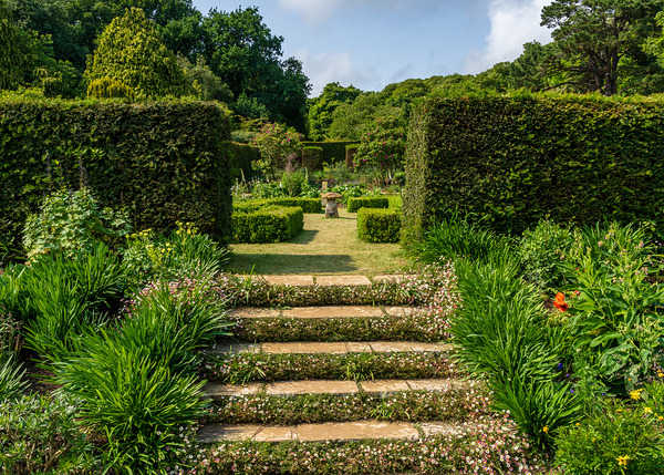 Stone steps into a hedged flower garden on the Isle of Wight Print