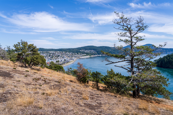 View from the Washington Park overlook over the town of Anacorte Print