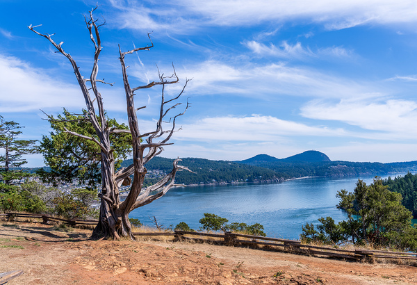 View from the Washington Park overlook over the town of Anacorte Print