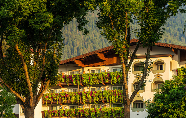 Flower strewn balconies of a hotel in Alpine village of Leavenwo by Steve Heap
