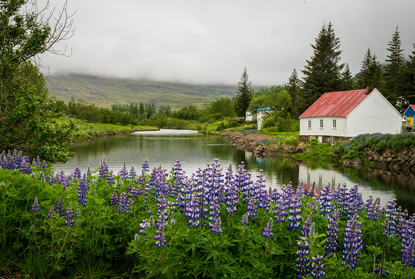 Peaceful scene in Seydisfjordur of river flowing from misty moun Print