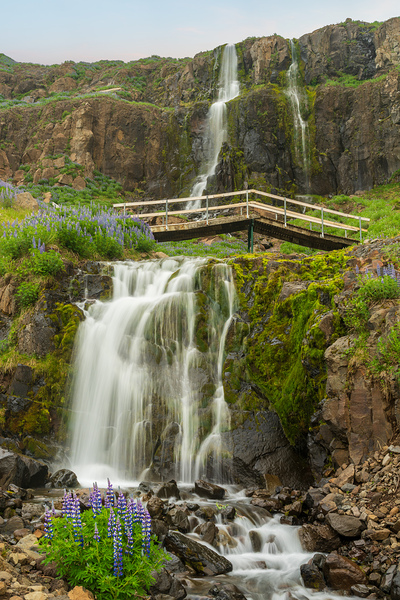 Budareyrarfoss waterfall cascades down the mountain by the port  Print