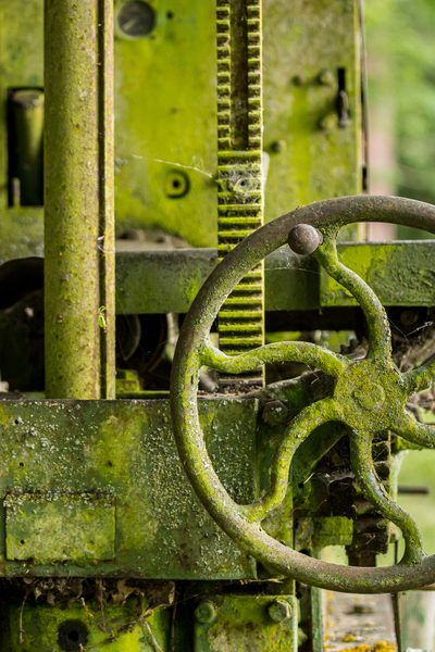 Moss covered farm machinery with handle by Steve Heap