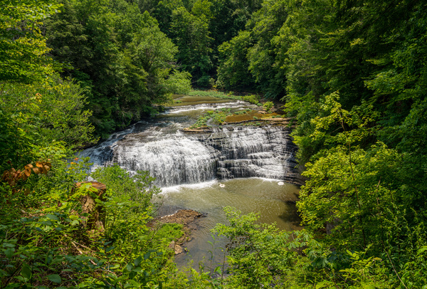 Burgess Falls in Tennessee in summer by Steve Heap