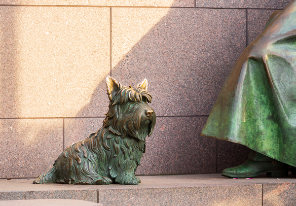 Pet dog at Roosevelt memorial Washington DC by Steve Heap