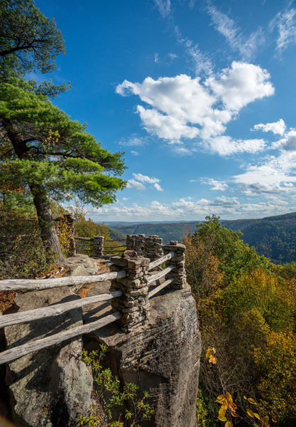Coopers Rock state park overlook vertical format by Steve Heap
