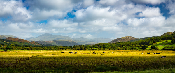 Panorama of the English Lake District by Steve Heap