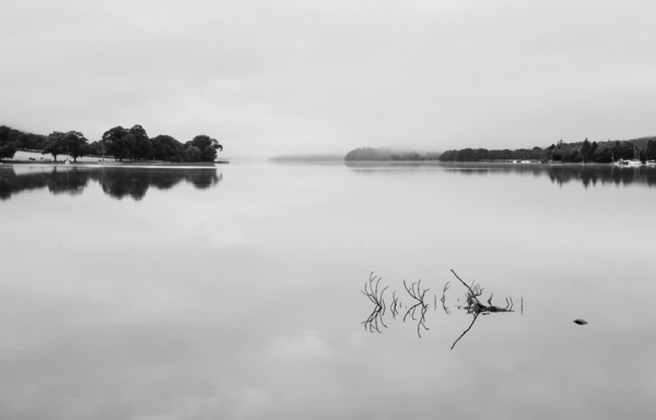 Reflection of branch in Coniston Water  by Steve Heap