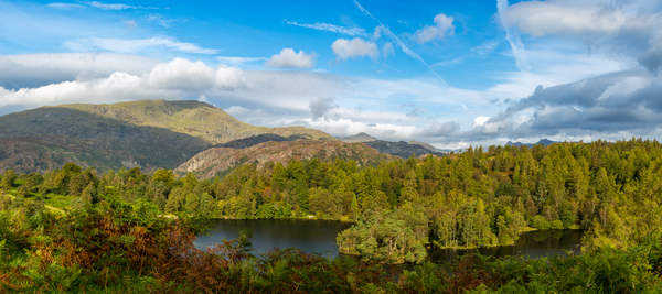 Panorama of Tarn Hows in English Lake District by Steve Heap