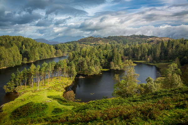 Clouds over Tarn Hows in English Lake District by Steve Heap