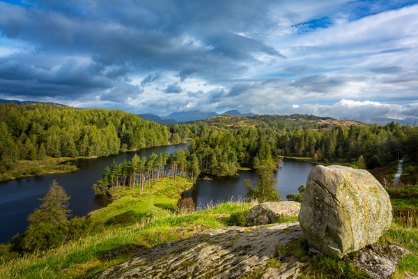 Tarn Hows in English Lake District by Steve Heap