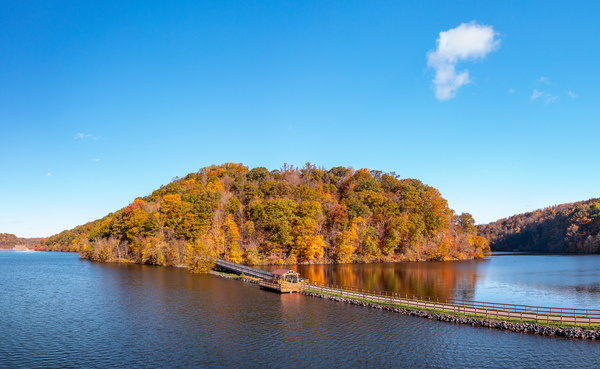 Fall color on hill by the lake and trail at Cheat Lake Park by Steve Heap
