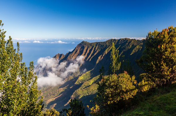 Pilea Trail overlooking Kalalau Valley in Kauai by Steve Heap