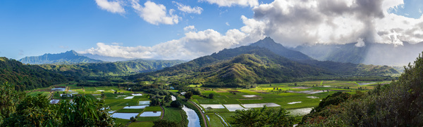 Hanalei valley from Princeville Kauai by Steve Heap