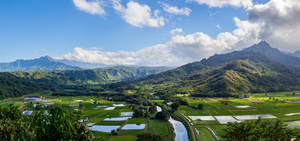 Hanalei valley from Princeville Kauai by Steve Heap