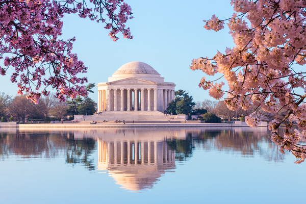 Beautiful early morning Jefferson Memorial by Steve Heap