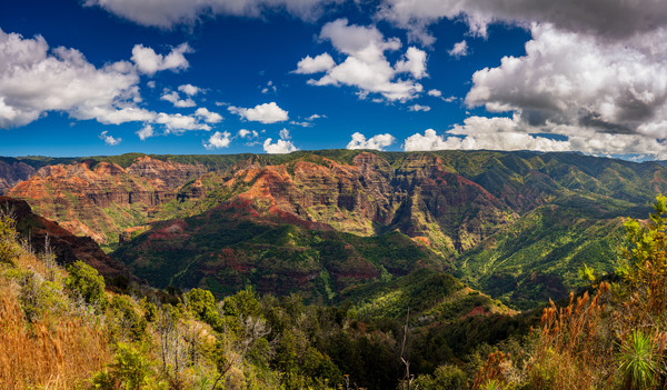 Panorama of the Waimea Canyon from the Iliau Nature loop by Steve Heap