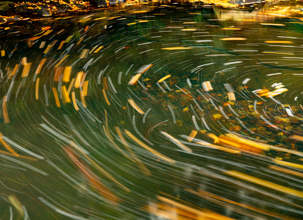 Swirling leaves on Deckers Creek by Steve Heap