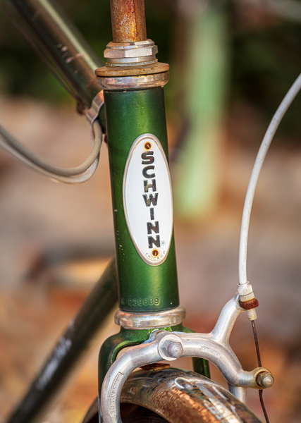 Memories of youth with Schwinn bike frame by Steve Heap