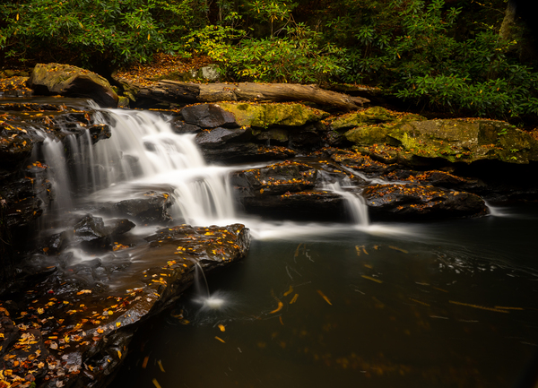 Waterfall on Deckers Creek near Masontown WV by Steve Heap