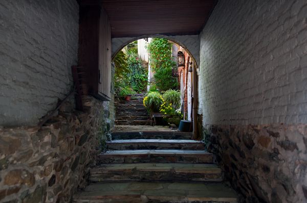 Alley leading to a gorgeous secret garden by Steve Heap