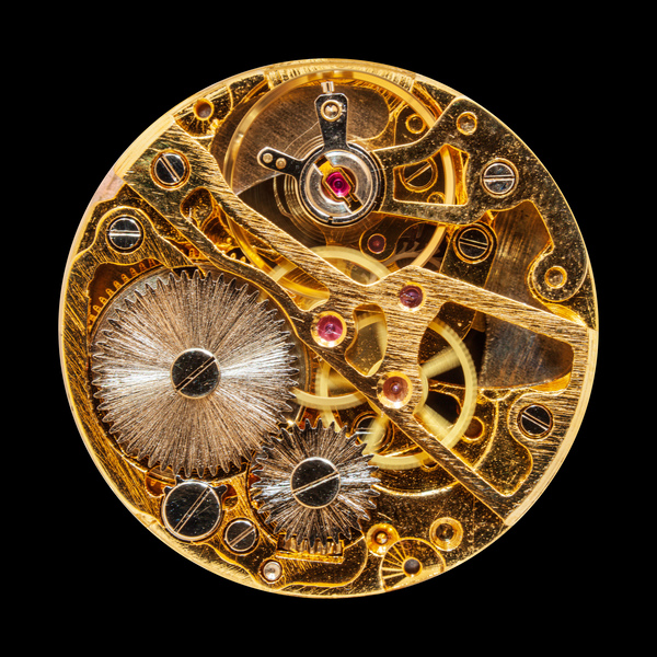 Interior of antique mechanical watch by Steve Heap