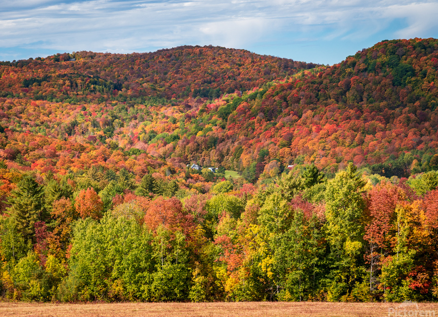 Multi-colored hillside in Vermont during the fall  Print