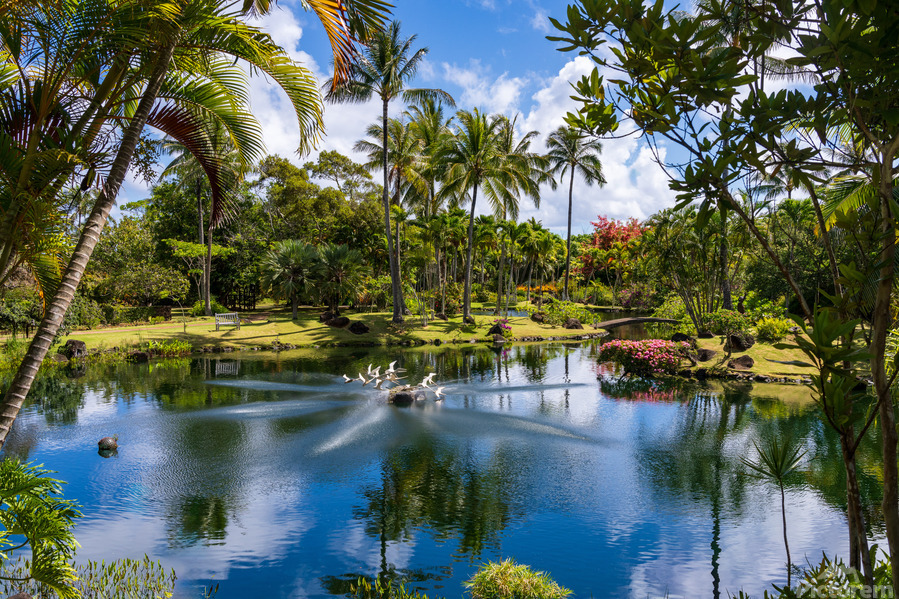Gorgeous lagoon and lake in the Na Aina Kai sculpture garden  Imprimer