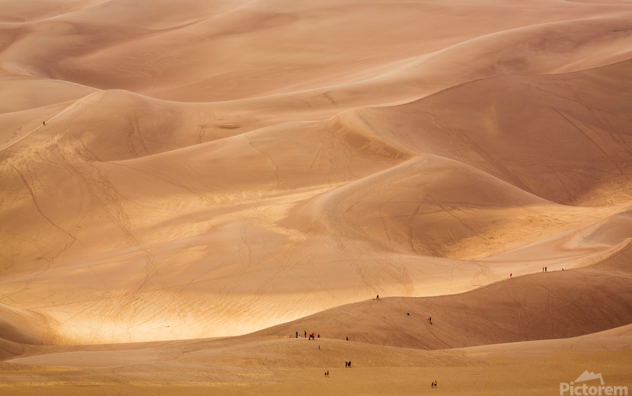 People on Great Sand Dunes NP   Print