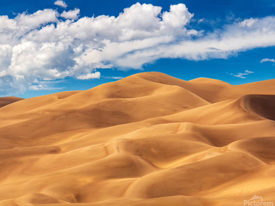 Panorama of Great Sand Dunes National Park  Print