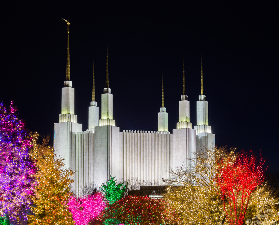 Mormon temple in Washington DC with xmas lights  Print