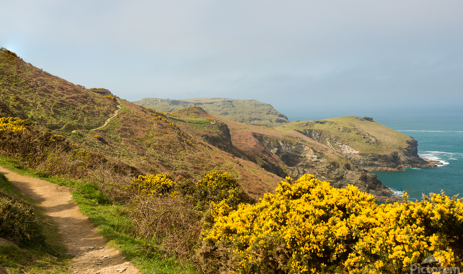 South West coast path near Tintagel Cornwall  Print