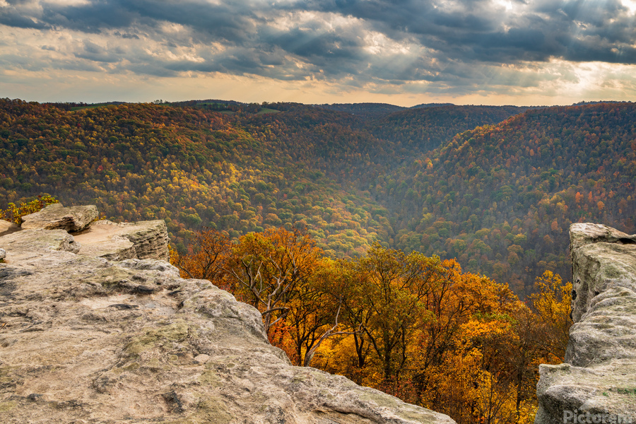 Raven Rock overlooks forest at Coopers Rock  Print