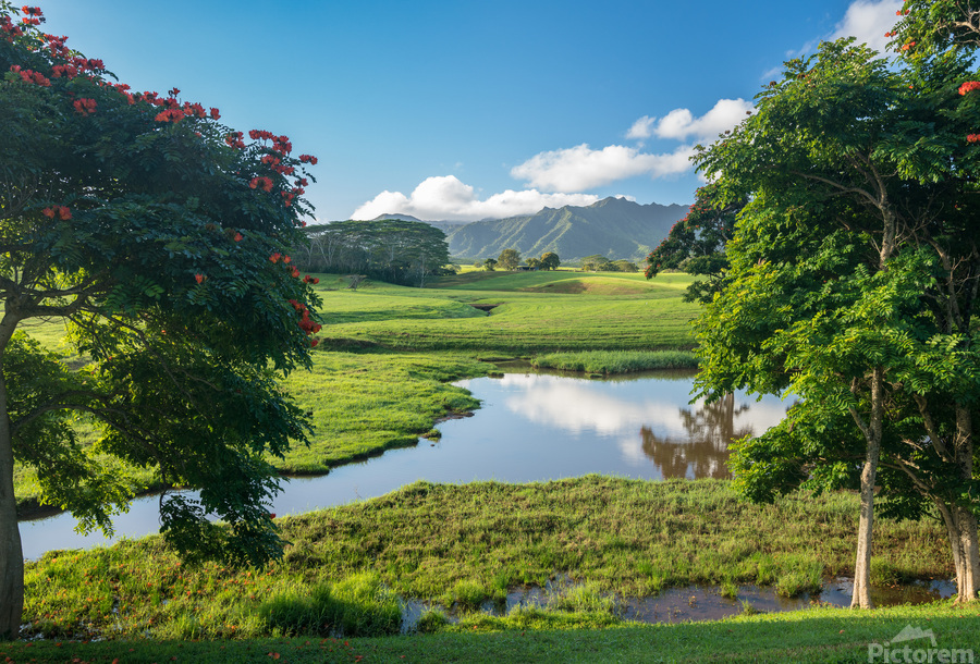 Striking Jurassic landscape on Kauai  Print